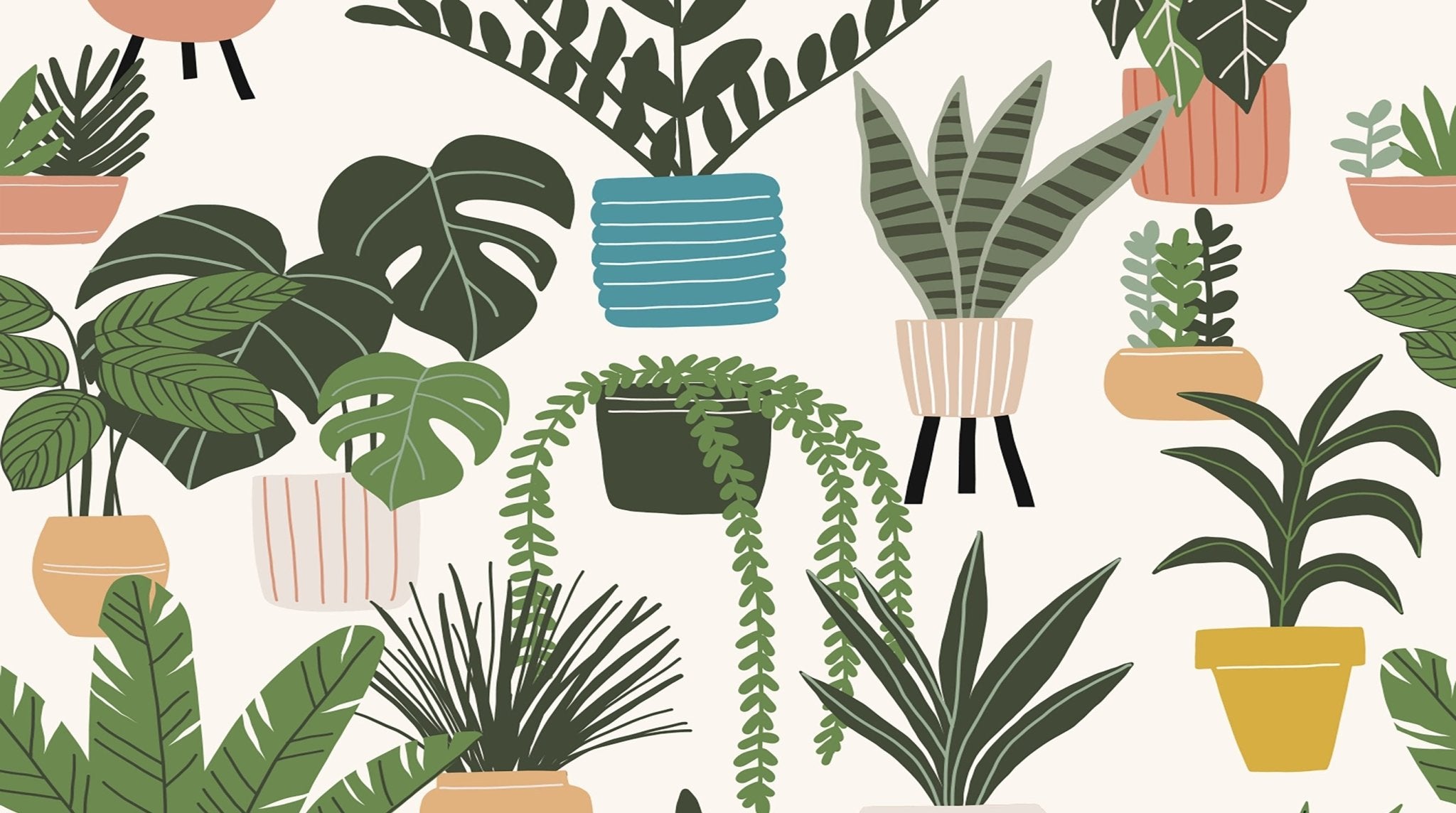 Boho Plants - SIC Lifestyle