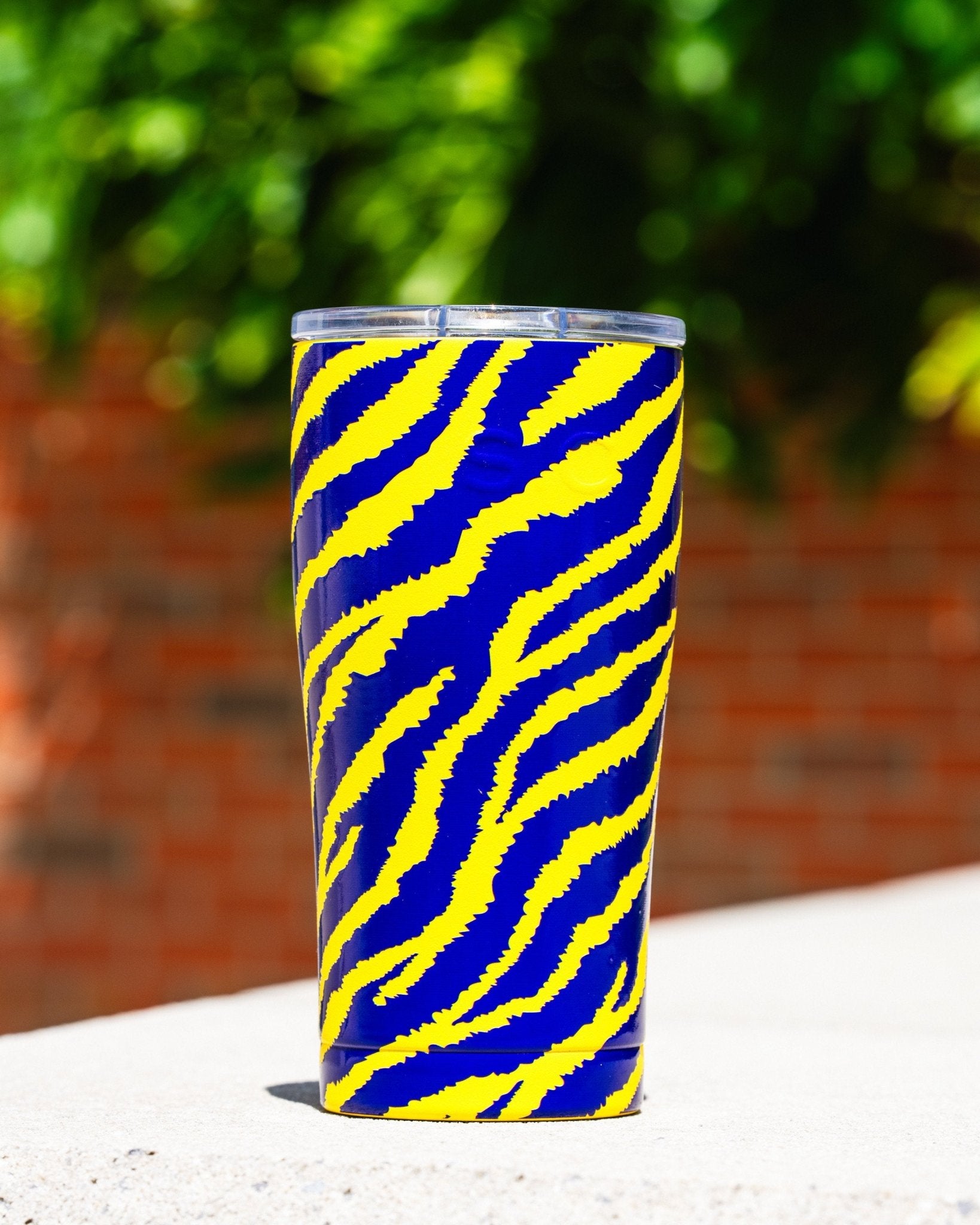 20 oz. Tumbler | Death Valley - SIC Lifestyle
