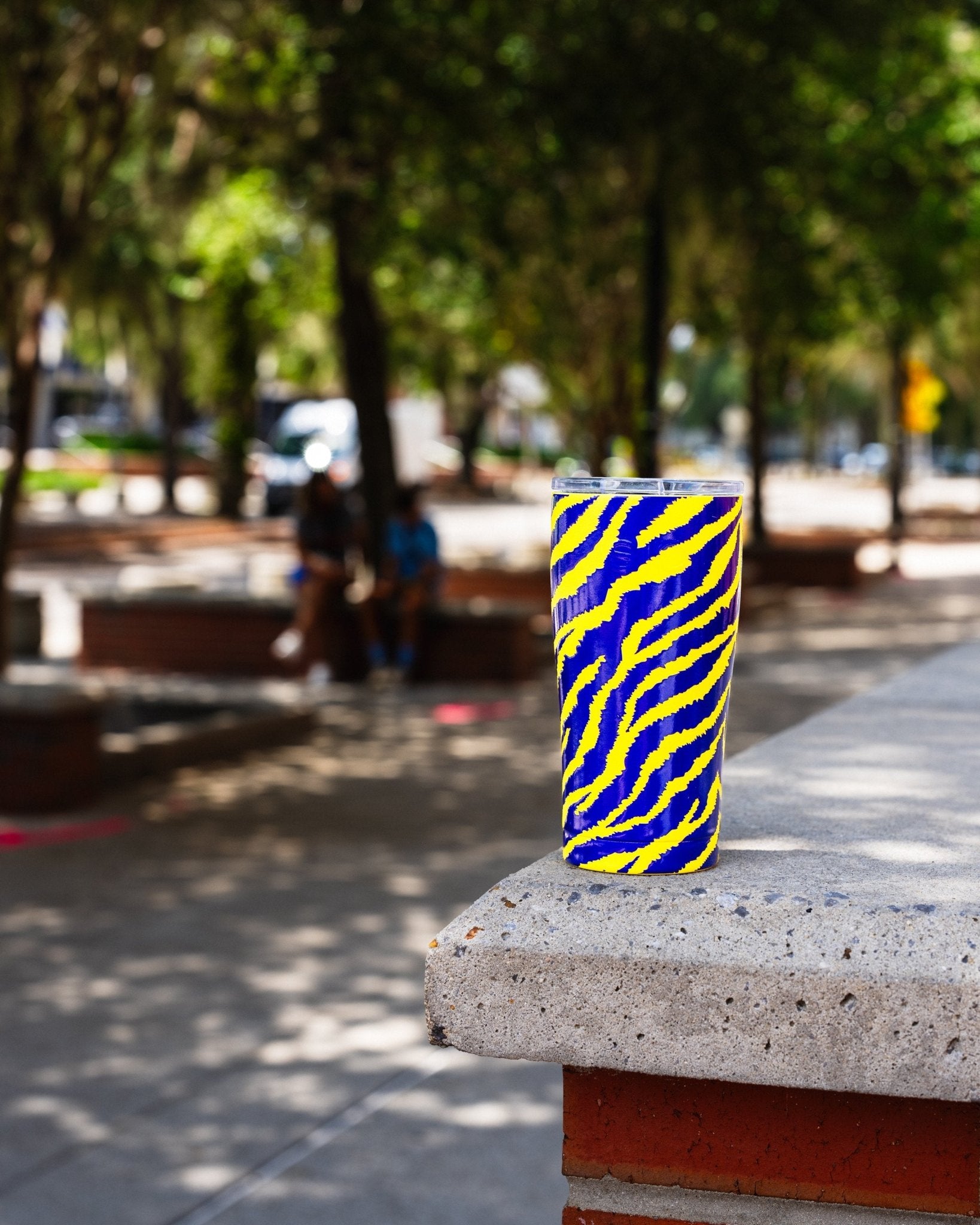 20 oz. Tumbler | Death Valley - SIC Lifestyle